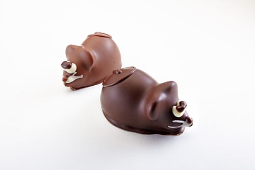 chocolate shaped as mice
